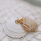 Sea Shell Studs