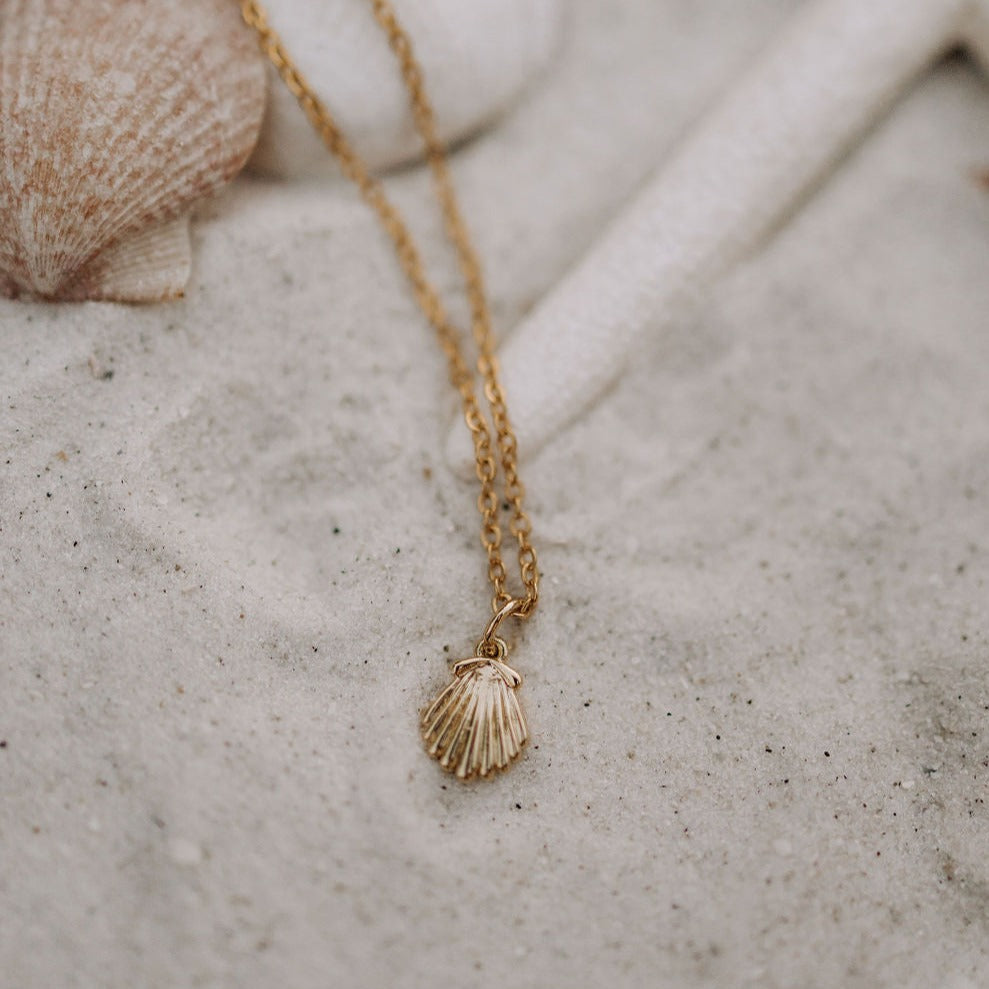 Sea Shell Necklace