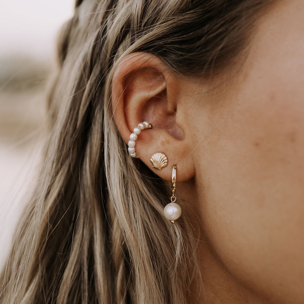 Sea Shell Studs